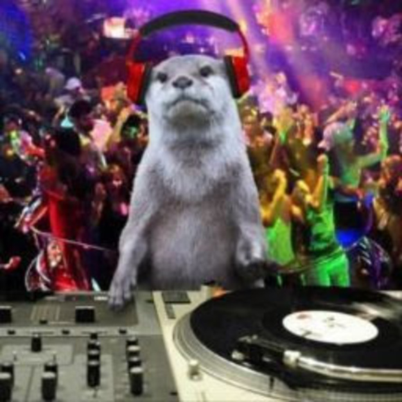 Meet your Posher, Nehemiah - Picture 1 of 1